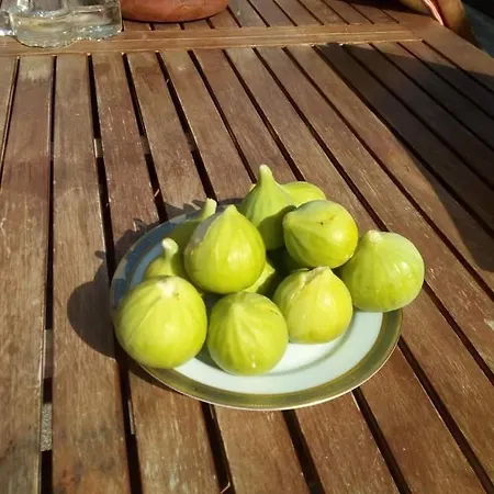 Casa Panoramica Greco Appartement *